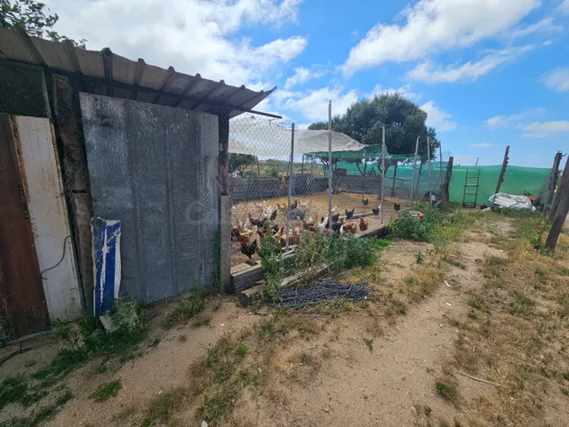 Terreno agricola en venta en Malgrat de Mar - foto 4