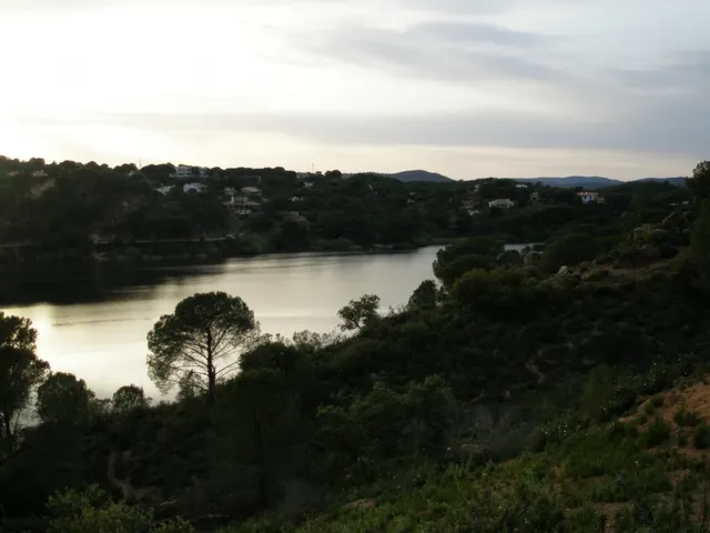 LAS JARAS — 3