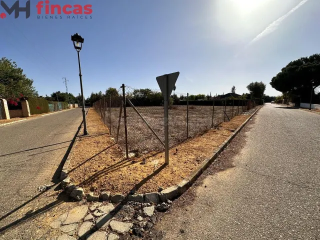 SUELO PARA DESARROLLAR EN EL ALJARAFE SEVILLANO - foto 3