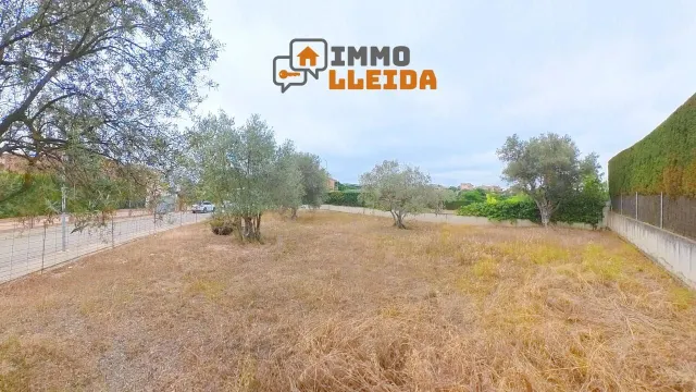 ¡Haz realidad la casa de tus sueños en Cervera! — 15
