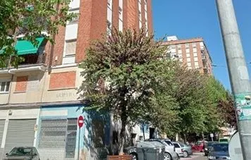 Apartamento 2 habitaciones 76m² en venta - El Pilar - La Est - foto 3