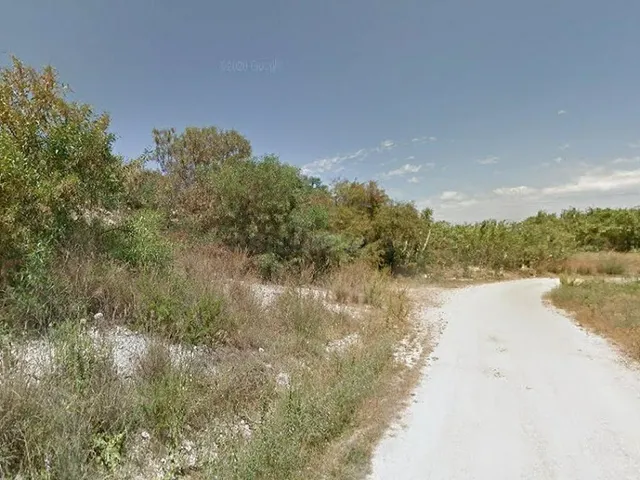 Terreno en Oliva