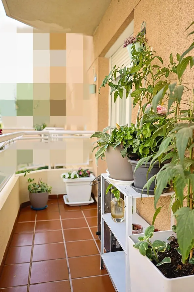 Espectacular vivienda de 4 dormitorios, dos baños y garaje, en segunda línea de playa — 7