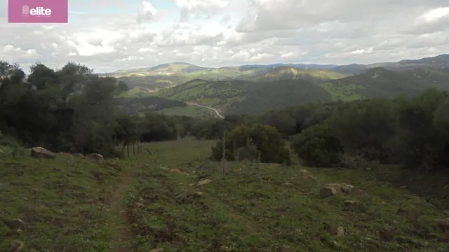 MAGNIFICA DEHESA PROXIMA A JEREZ DE LA FRONTERA — 8