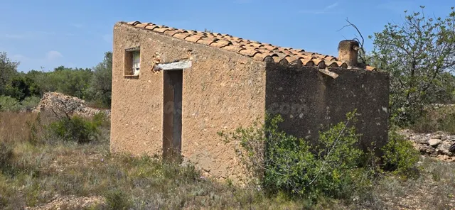 Finca rústica con olivos a 4 km de l’Ametlla de Mar, en ento
