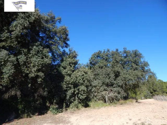GRAN PARCELA URBANIZABLE EN PLENA NATURALEZA DE LA URB. HELIOS!!! — 4