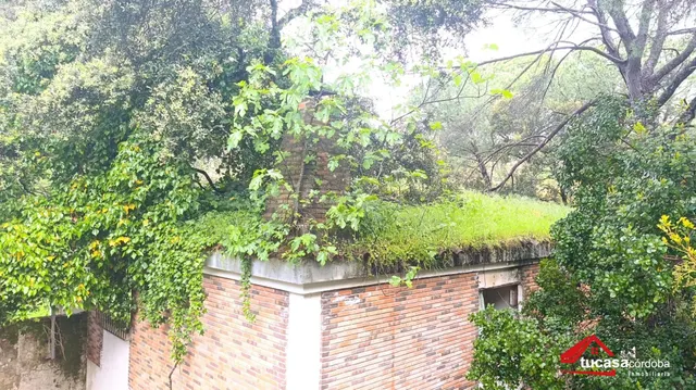¡EXCLUSIVA! Casa con terreno y pozo en Trassierra, Siete Fin - foto 5