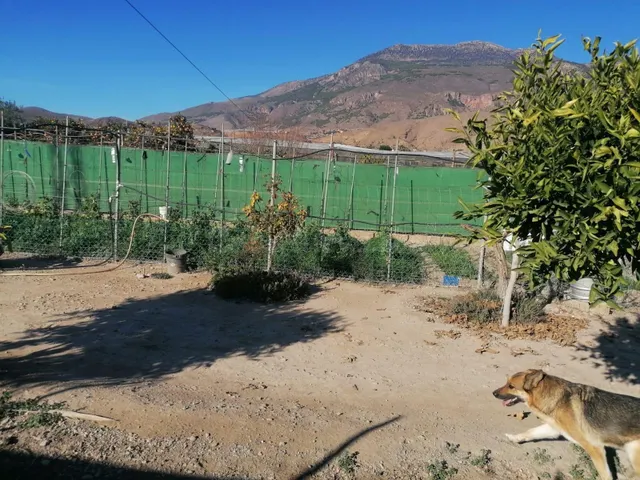 Cortijo con terreno - foto 3