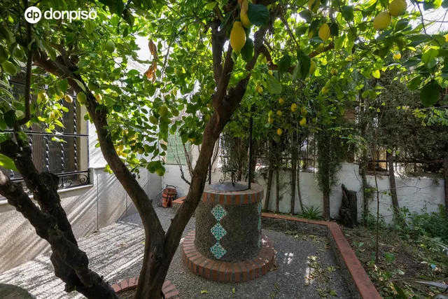 EXCLUSIVA FINCA CON 30.000 m2 DE SUELO URBANIZABLE EN OGÍJARES (GRANADA) – VIVIENDA, PISCINA Y GRAN POTENCIAL DE INVERSIÓN — 23