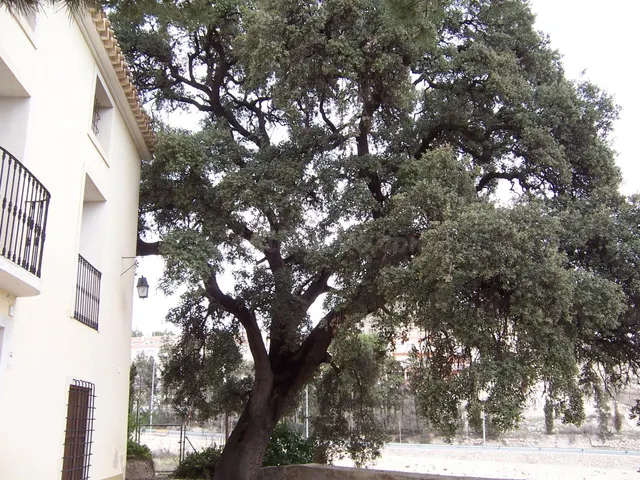 ️ Activo Patrimonial Singular con Potencial de Desarrollo |  - foto 4