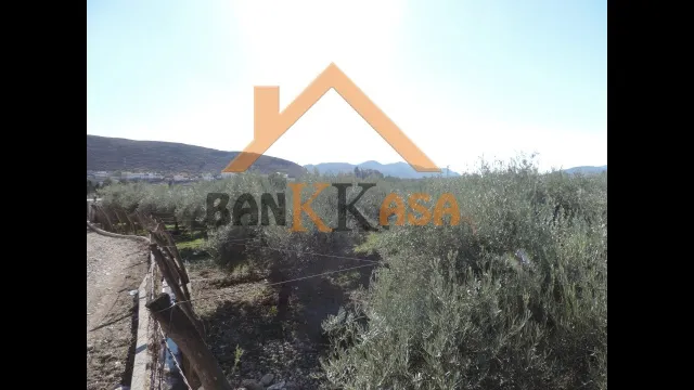 SE VENDE TERRERENO RURAL EN BERJA CON CORTIJO — 37