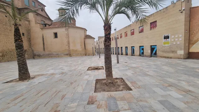 CASA MUSEO MIGUEL HERNÁNDEZ EXCLUSIVO SOLAR URBANIZABLE — 22