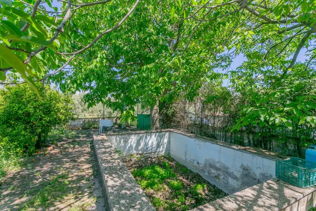 "¡Vive la vida en el campo! Terreno con casa de aperos y cultivos de olivos y frutales en ve — 13