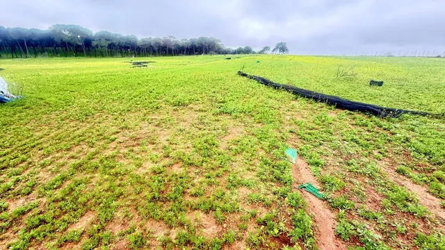 2 HECTÁREAS DE REGADÍO CON POZO PROPIO Y TRANSFORMADOR | INV - foto 4