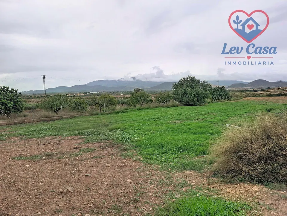 Se vende parcela de unos 3.000 m2 — 49.900 €