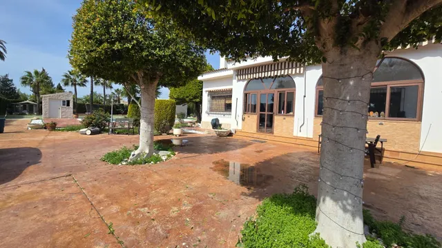 Impresionante Chalet en Algoros a 5 minutos de Elche - foto 2