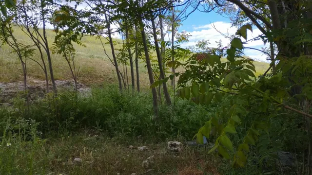 Terreno urbano en venta - Fuentelencina — 7