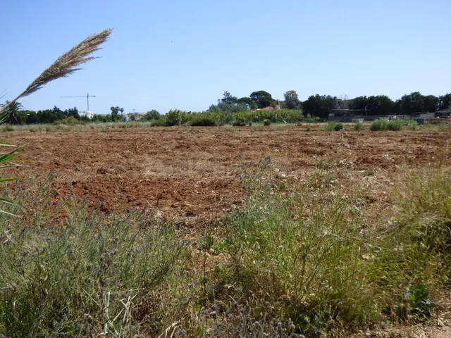 Terreno rural en venta - La Pedrera-Vessanes - foto 4
