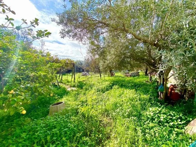 CAMPIÑUELA - Parcela de terreno de unos 800 m2 con casa de u - foto 3