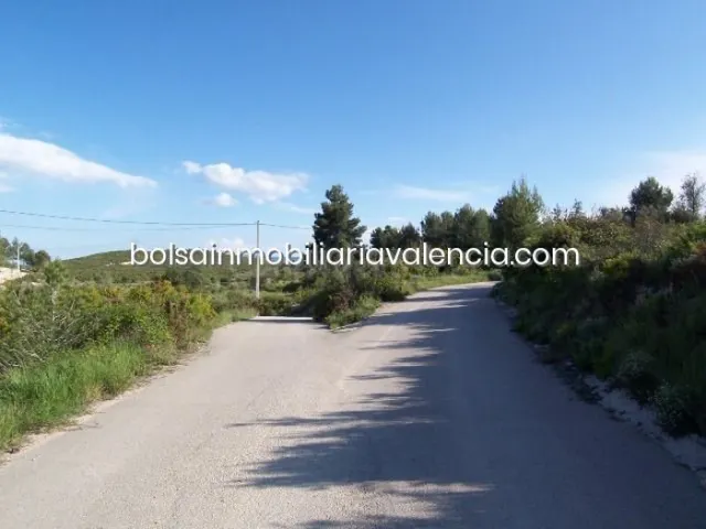 Terreno rural 8000m² en venta - La Raiosa — 5