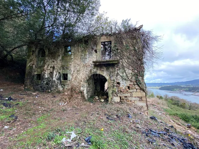 EXCLUSIVA PROPIEDAD CON VISTAS A LA RIA Y 70 HECTAREAS DE TE - foto 4