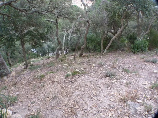 Terreno urbanizable 300m² en venta - Canyelles - Montgoda - foto 3