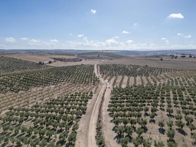 IMPRESIONANTE OPORTUNIDAD DE INVERSIÓN EN ALAMEDILLA!! — 23