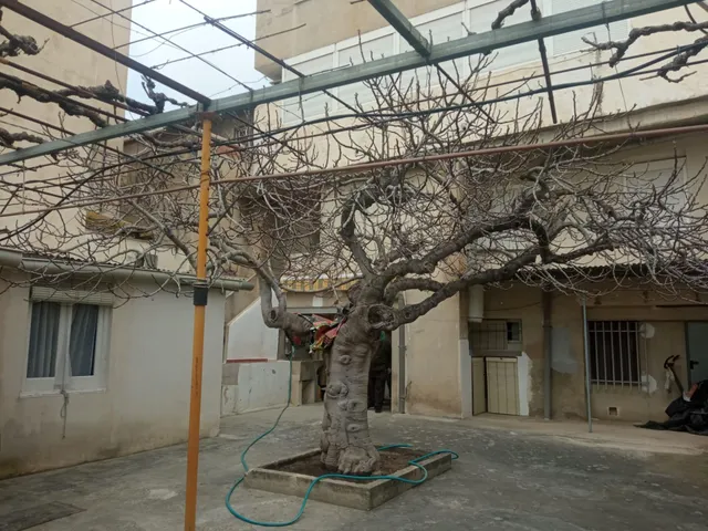casa amplia de dos plantas con patio en Cehegín — 39