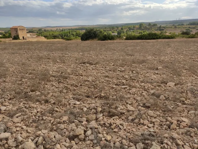 PARCELA DE 15.000 M2 EN PARAJE DE LOS ESPETONES. EXCELENTE ubicación Y ACCESO — 3