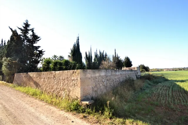 Finca con proyecto aprobado en Llubi — 12