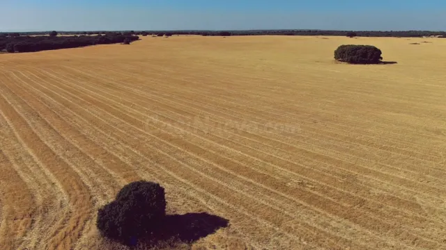 Venta de finca agropecuaria en la provincia de Ciudad Real - foto 2