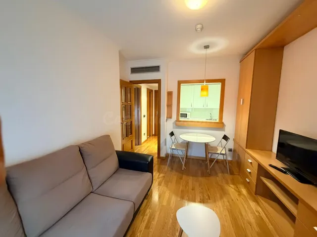 Piso 1 habitación 55m² en alquiler - Rejas — 3