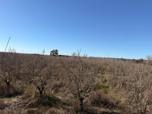 ¡OPORTUNIDAD DE INVERSIÓN! CORBINS - LLEIDA - — 9