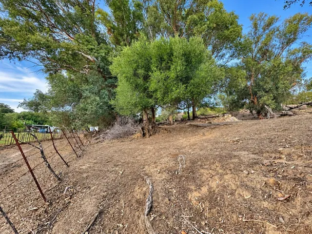 Finca rústica de 18.444 m2 con pozo y construcción catastrada en Alcalá de los Gazule — 27