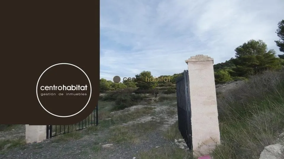 Parcela de 10.041m2 en Monovar - Collado Victoriano