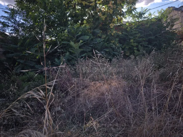 EN VENTA SOLAR EN OLIVARES DE DUERO - foto 3