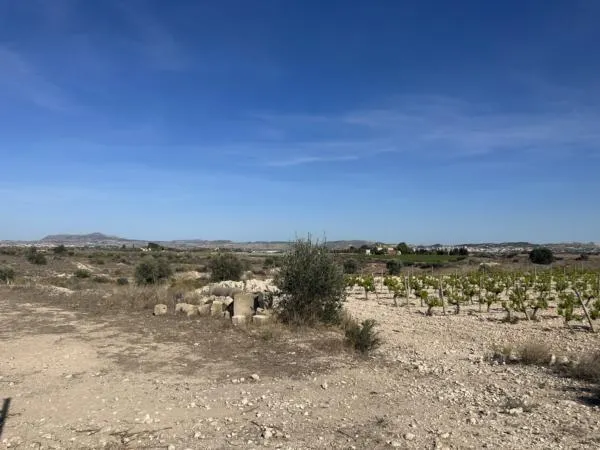 Parcela de terreno — 6