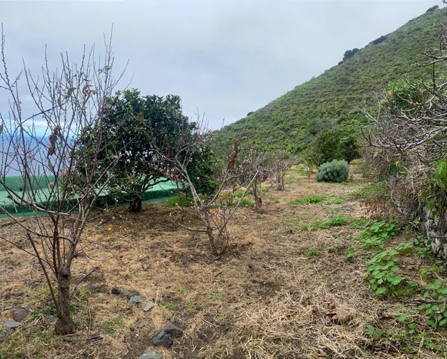 Casa Rural en Sabinosa — 25