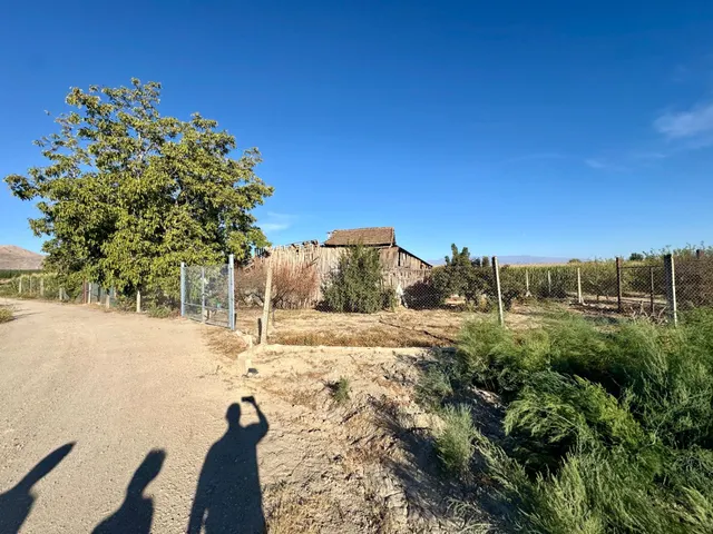 TERRENO RÚSTICO EN VENTA EN CHAUCHINA – 3.146 m2 CON POZO Y construcciones — 11