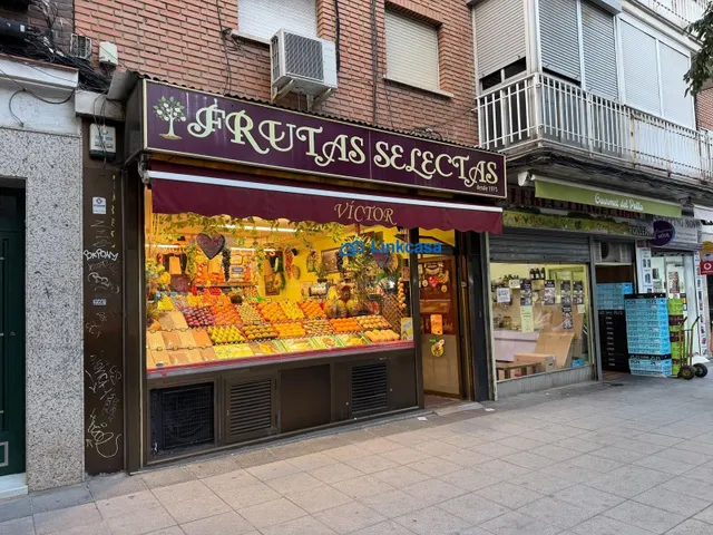LOCAL COMERCIAL EN OPAÑEL — 26