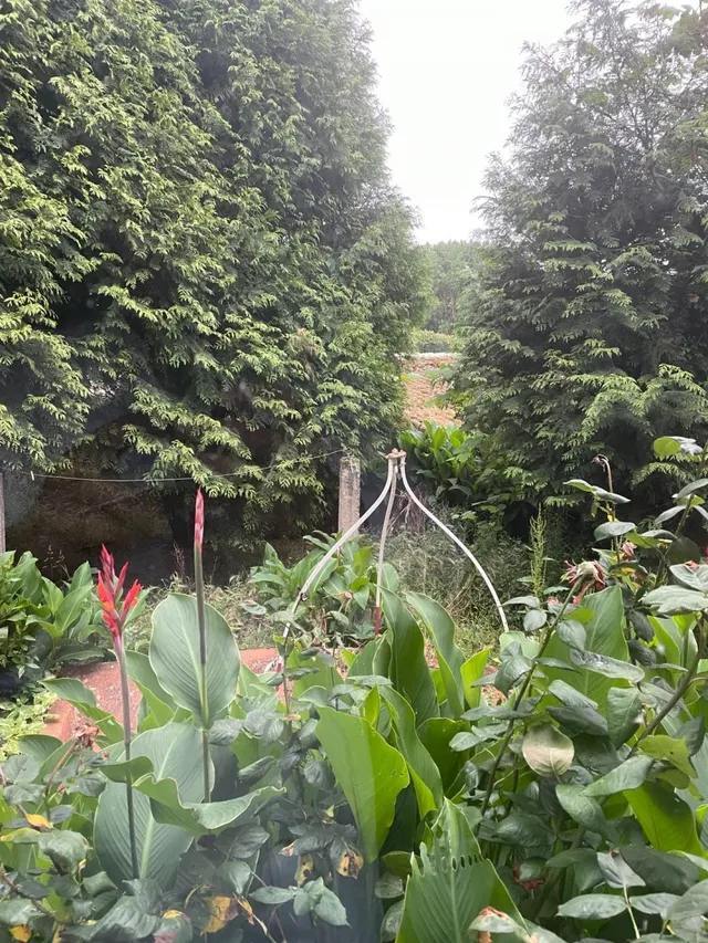 FINCA URBANA EN CAMBRE (DOS PARCELAS) — 13