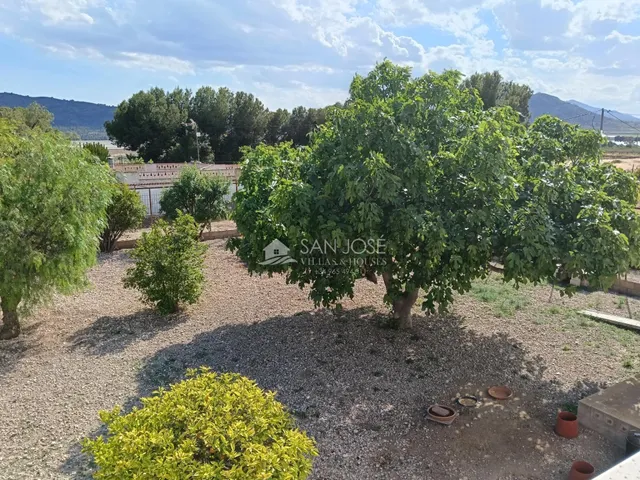 SE VENDE CHALET CON PISCINA EN BUEN ESTADO EN ASPE — 39
