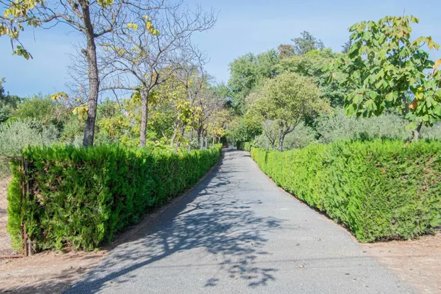 Espectacular finca en carretera mairena - almensilla !!! — 68