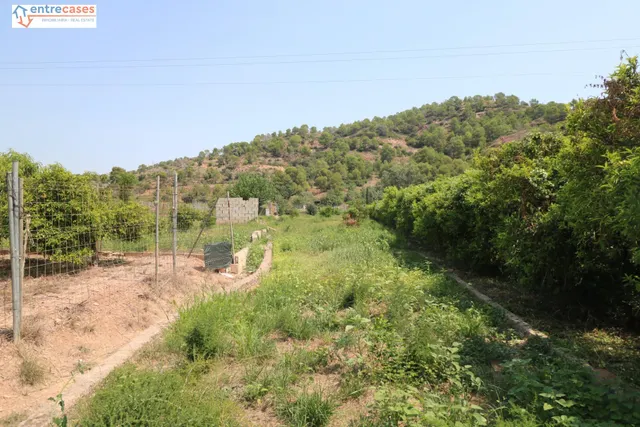TERRENO DE 2 HANEGADAS ENTRE PETRES Y ALBALAT TARONGERS — 7
