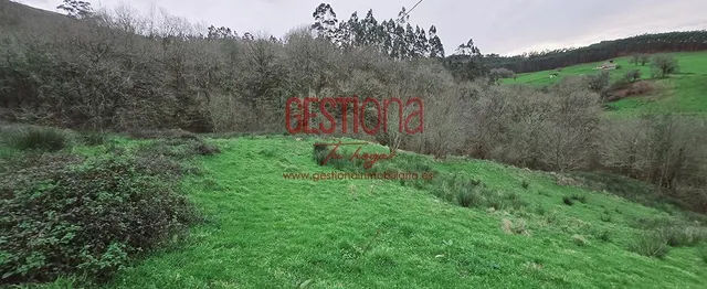 CABAÑA CON ARROYO,  PROYECTO Y CAMBIO DE USO EN LLANOS. PENAGOS — 25