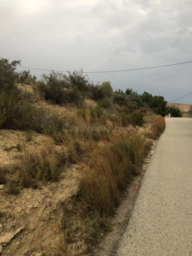 TERRENO EN LA MONTAÑA DE CREVILLENTE - foto 4
