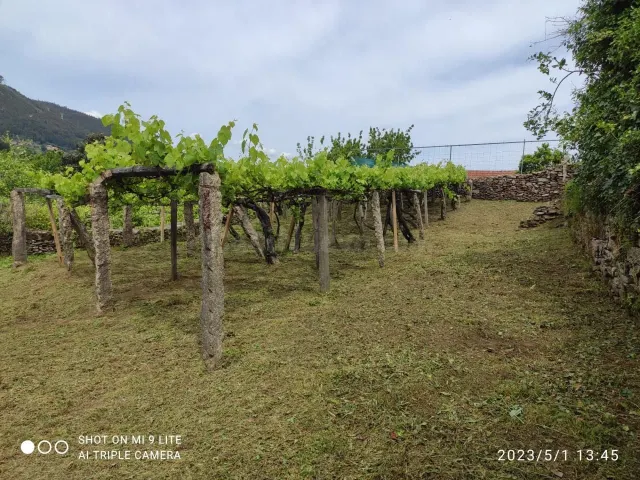 Finca rustica en venta en Redondela - foto 4