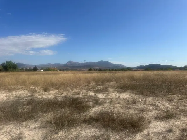 Terreno Rural Agrario de 13.000 m2 en Beties – Monóvar — 12