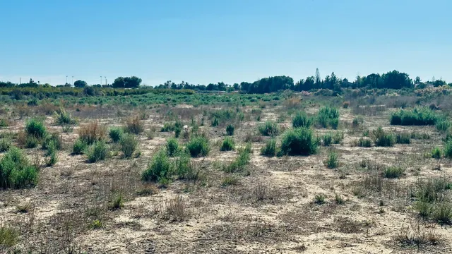 Terreno de 12.000 m2 en Perleta. — 17