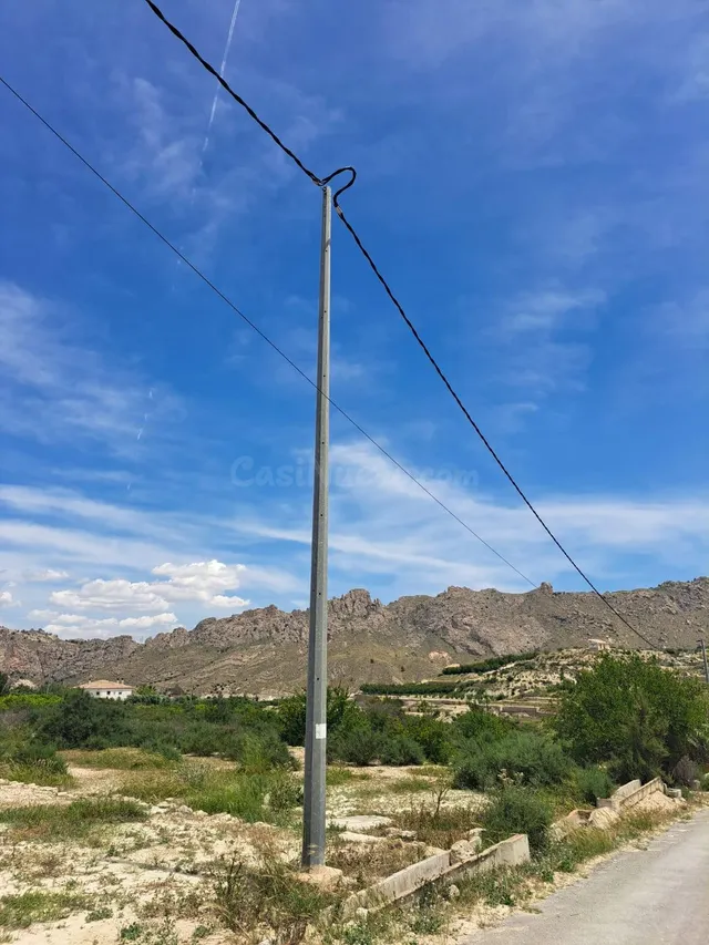 2 parcelas rústicas en Abarán - foto 4